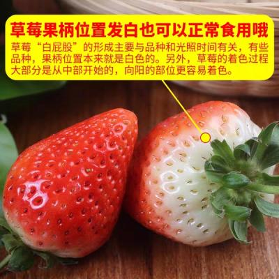 【电商扶贫】板辽草莓采摘券1Kg/张
